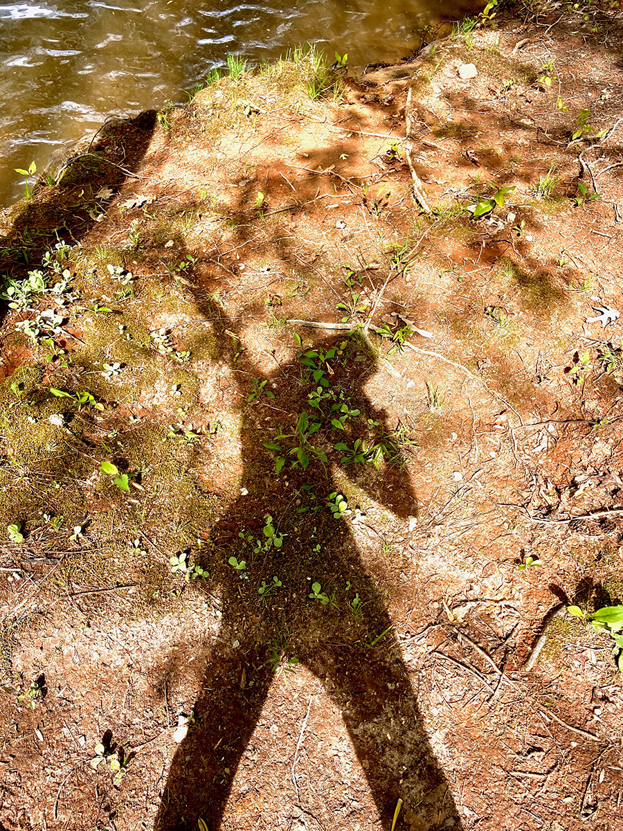 photo of lake shadow